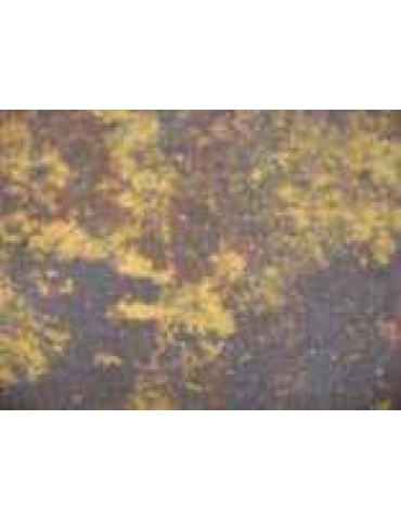 Плитка тротуарная Антик рифлёная с прямой фаской 6 Винные листья фото