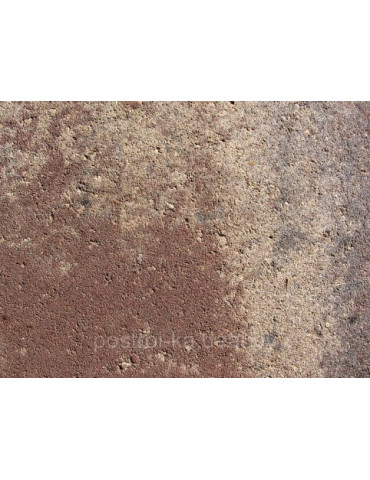  Плитка тротуарная Крестообразный камень Ракушечник
